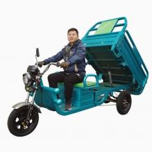 1200W20ah45ah Electric Tricycles 3 Wheels Hot Sell Cargo with Max Loading Capacity Cargo