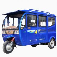 Cheap Best Enclosed 3 Wheel Electric Tricycle Vehicle Mini Electric