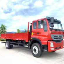 4x2 SINOTRUK Cargo Truck China Factory Supply Hot Sale Custom Design Offered